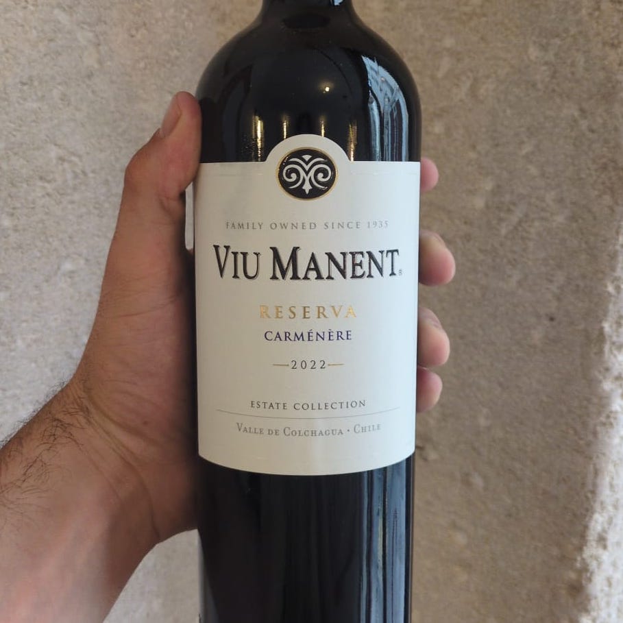 ViuManent